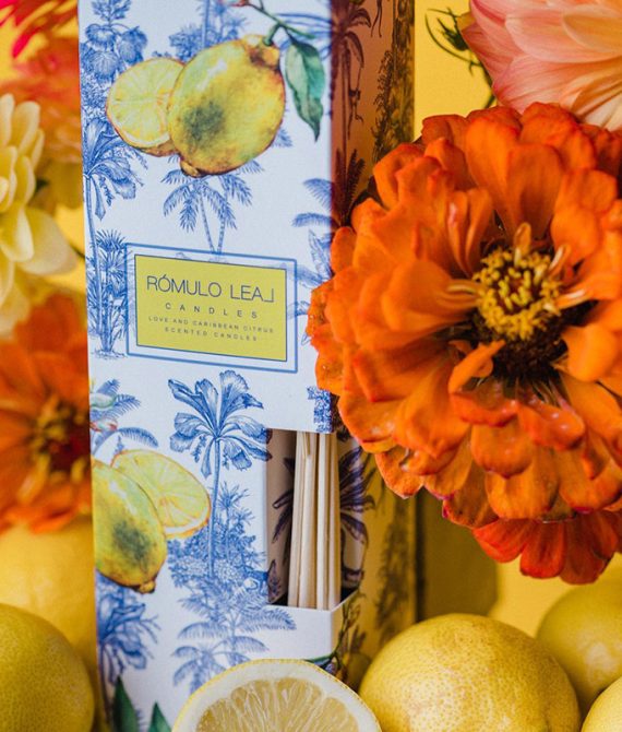 Mikado – Love and Caribbean citrus- Rómulo Leal